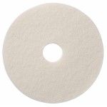 DISCO ABRASIVO TASKI AMERICO BRANCO