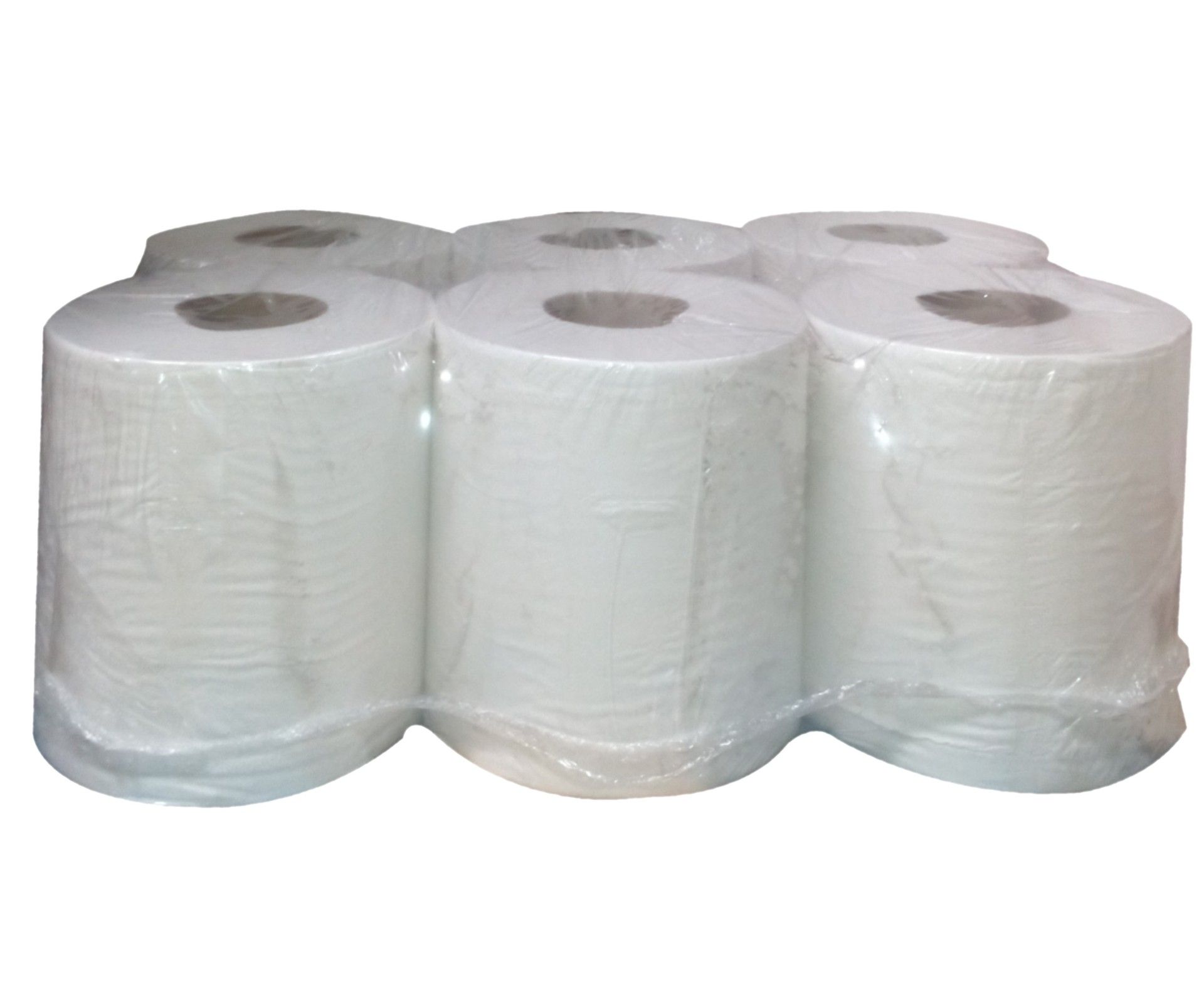 Secamãos Dino Reciclado Folha Dupla - 6 Rolos Secamãos Dino Reciclado Folha Dupla - 6 Rolos