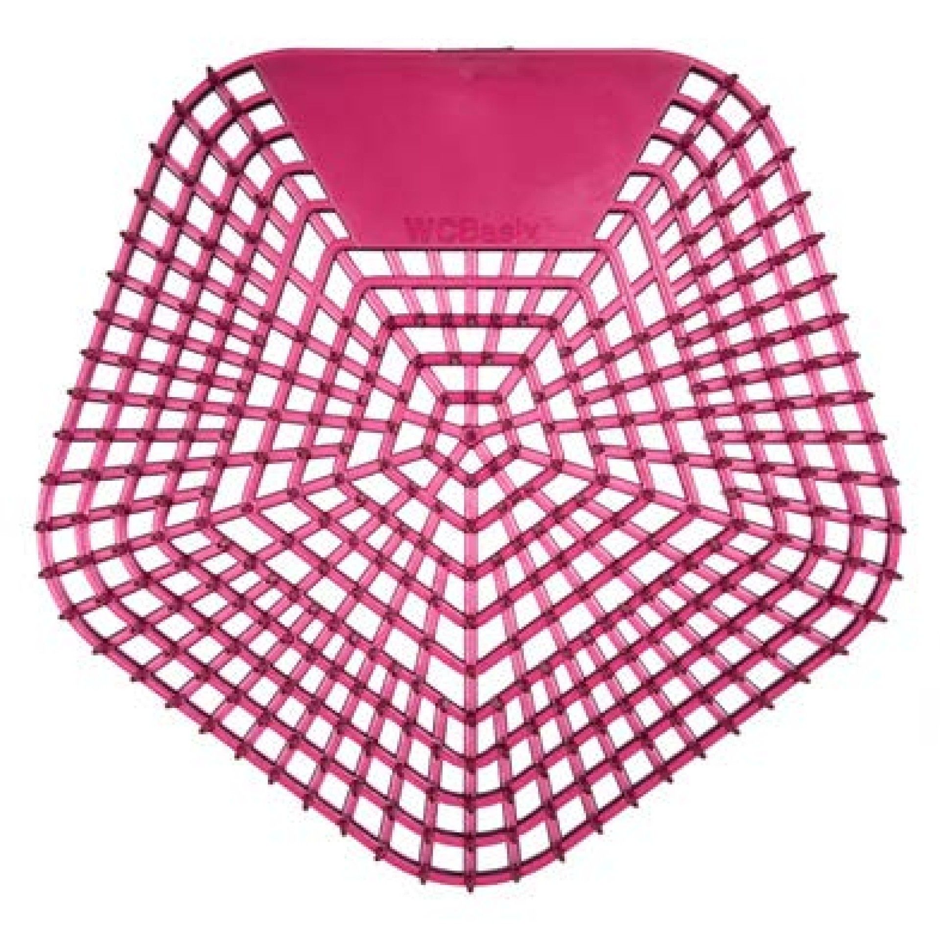 FILTRO AMB. SPICED APPLE BASIX - 1 UN