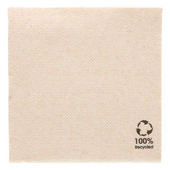 GUARD.ECO. DOUBLE POINT 20X20CM NATURAL TISSUE REC. - 2400UN