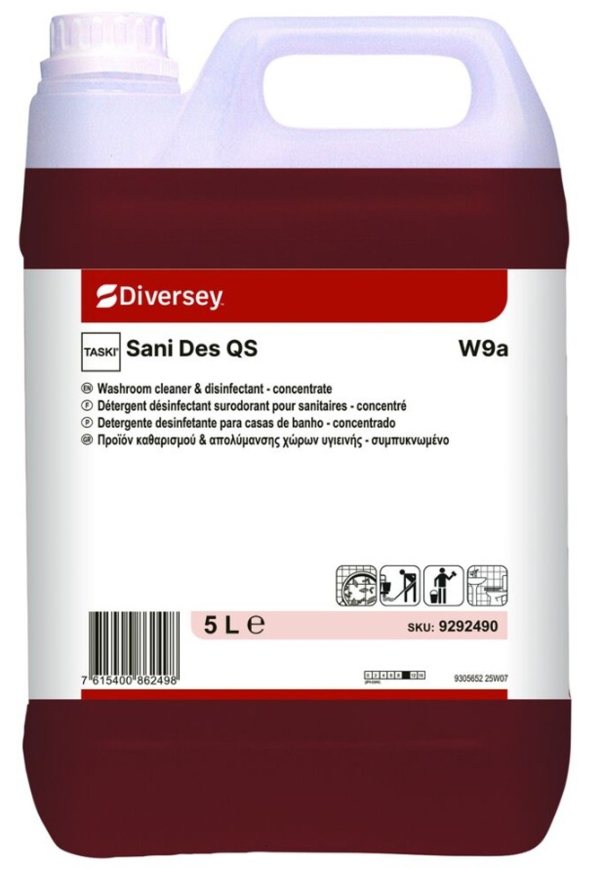 SANI DES W972 - 5 LT